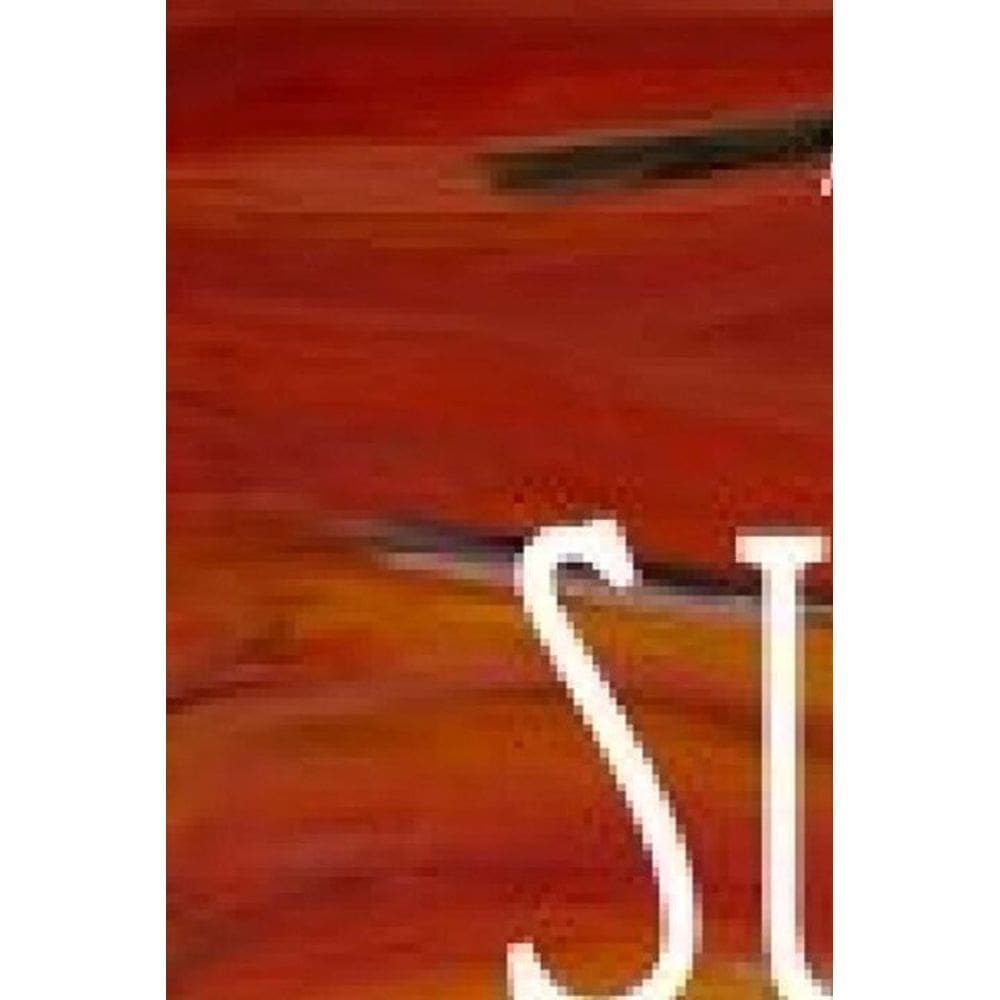 Suicidio: Um Ato e Muitas Versoes