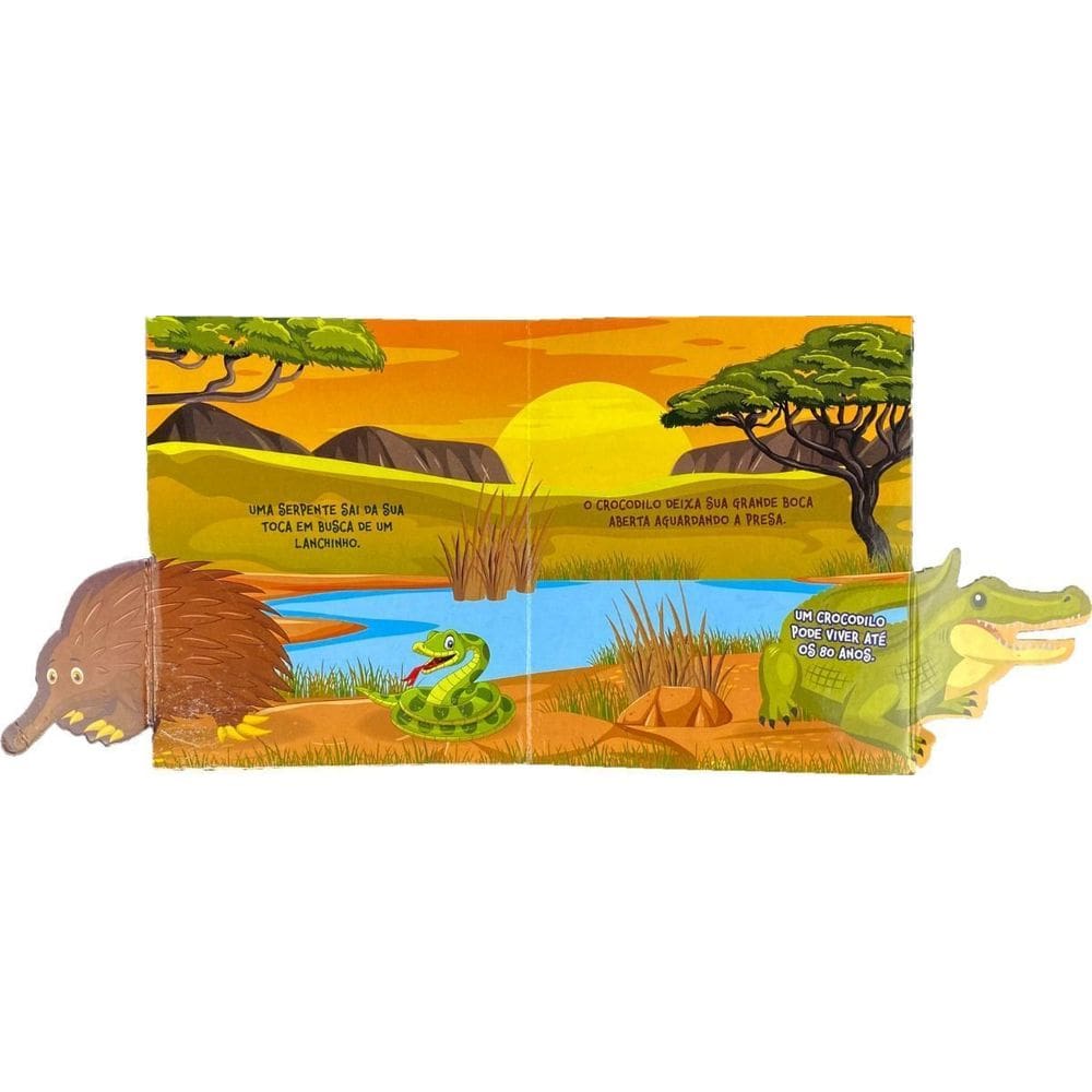 Coleção Esconde-Esconde - Animais do Deserto
