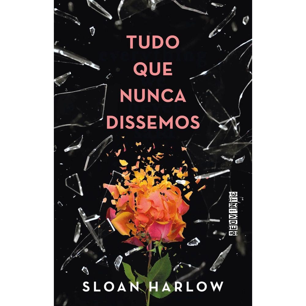 Tudo Que Nunca Dissemos