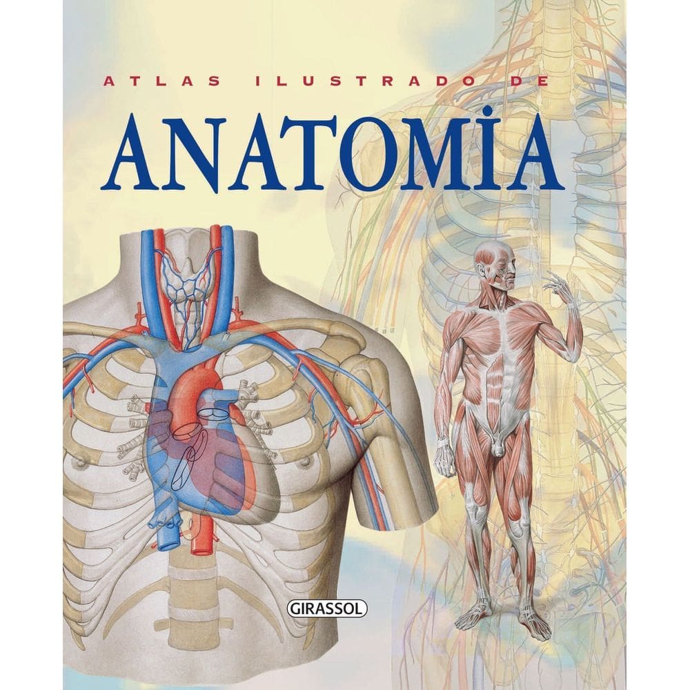 Atlas Ilustrado de Anatomia - 02Ed/24