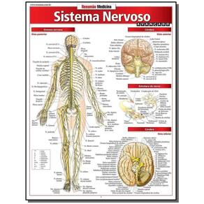 Sistema Nervoso Avançado