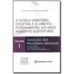 Tutela Inibitória Coletiva e o Direito Fundamental ao Meio Ambiente Sustentável, A