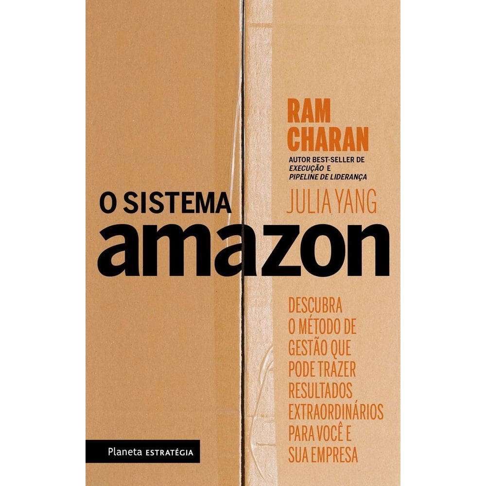Sistema Amazon, O