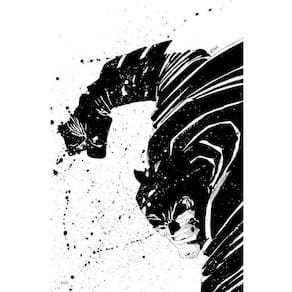 Batman - O Cavaleiro Das Trevas - Edição Absoluta