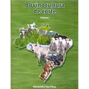 Box - Bovinocultura de Corte
