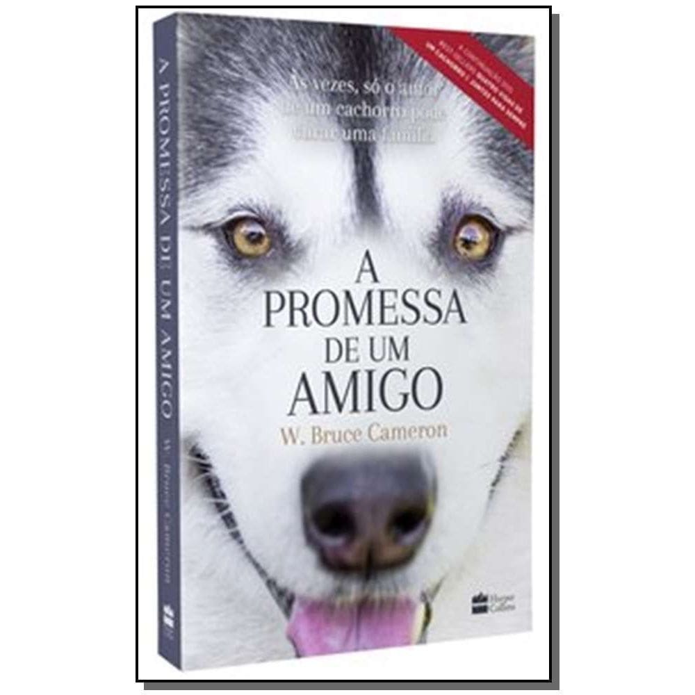 a Promessa De Um Amigo