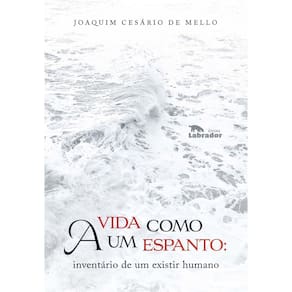 a Vida Como Um Espanto - Inventário De Um Existir Humano
