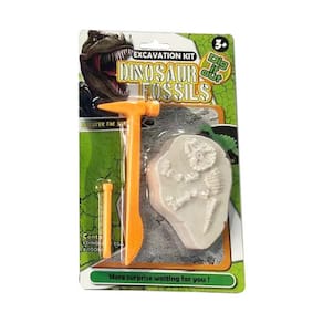 Busca Dino - Pedra de Fóssil de Dinossauro Surpresa