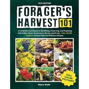 Book Forager`s Harvest 101: Um guia abrangente para forragear