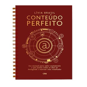 CONTEÚDO PERFEITO - Seu manual para saber exatamente o que postar todos os dias no Instagram e rastrear seus resultados: PLANNER CAPA DURA ESPIRAL