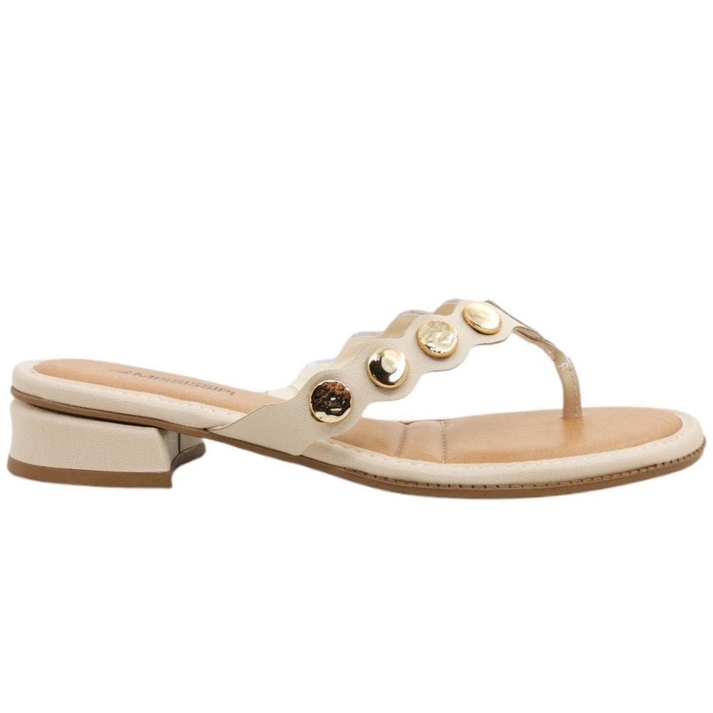 Tamanco Feminino Casual Básico Dia a Dia Salto Baixo Aplique Metalizado Conforto Mississipi Mc623