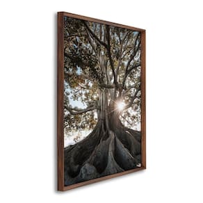 Quadro Decorativo Paisagem Árvore e Raios de Sol com 1 Tela Cm ou Cm de Parede para Escritório Banhe Marrom