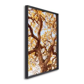 Quadro Decorativo Outono Galhos de Árvore com 1 Tela Cm ou Cm de Parede para Escritório Banheiro Hal Preto