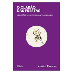 O Clarão Das Frestas: Dez Lições De Haicai Encontradas Na Rua