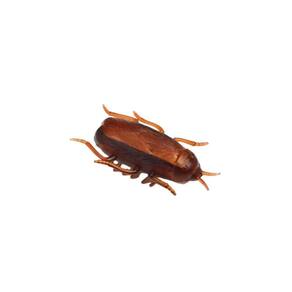 Pegadinha Barata Eletronica Que Anda