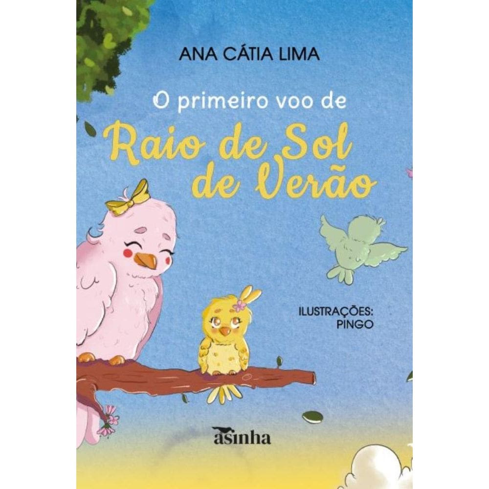 O primeiro voo de Raio de Sol de Verão