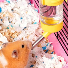 Bebedouro Hamster Roedores Porquinho da India 125ml Rato Furao Coelho Higiene Resistente Duravel