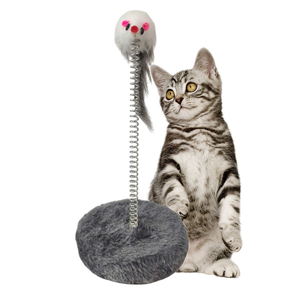 Arranhador Gato Pet Ratinho Mola Guizo Brinquedo Interativo Felino Animal de Estimaçao Macio Diversao Entretenimento