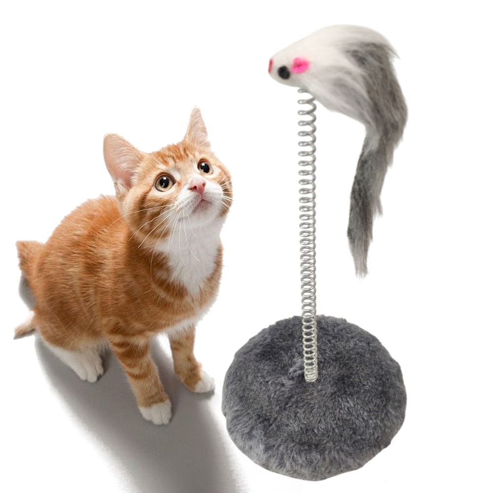 Arranhador Gato Pet Ratinho Guizo Mola Brinquedo Interativo Animal de Estimaço Felino Diversao Lazer Entretenimento