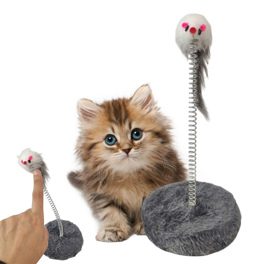 Arranhador Gato Pet Ratinho Guizo Mola Felino Brinquedo Interativo Animal de Estimaçao Macio Diversao Lazer Entretenimento
