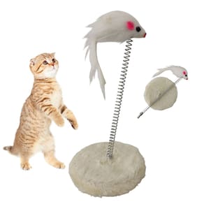 Arranhador Gato Pet Ratinho Guizo Mola Felino Animal de Estimaço Brinquedo Interativo Lazer Entretenimento Diversao