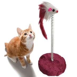 Arranhador Gato Pet Ratinho Guizo Mola Animal de Estimaçao Felino Brinquedo Interativo Pelucia Lazer Entretenimento Diversao