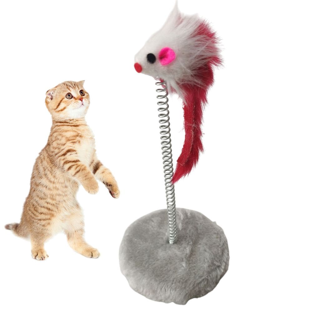 Arranhador Gato Pet Ratinho Guizo Mola Brinquedo Interativo Felino Pelucia Macio Entretenimento Animal de Estimaçao Diversao Lazer