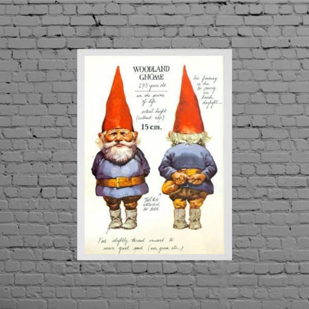 Quadro Decorativo Gnomo Vintage 45X34Cm Moldura Branca