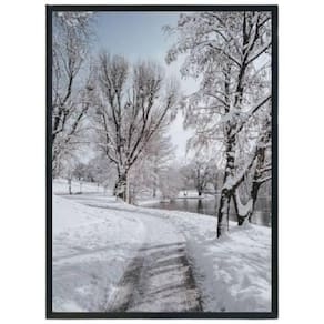 Quadro Fotografia Paisagem Com Neve 33X24 Com Vidro - Preta