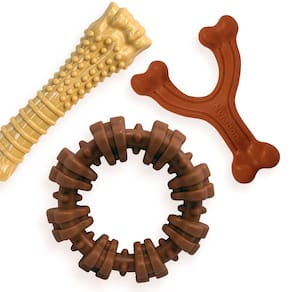Pacote de brinquedos para cães Nylabone Power Chew, favoritos dos clientes