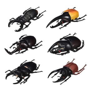 Conjunto de bonecos de brinquedo DoyiFun Lifelike Beetle Model para crianças de 14 cm