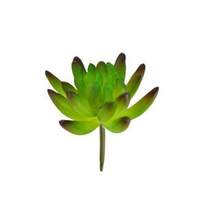 Folhagem Suculenta Hookeril 9X7X7Cm Planta Artificial Decor