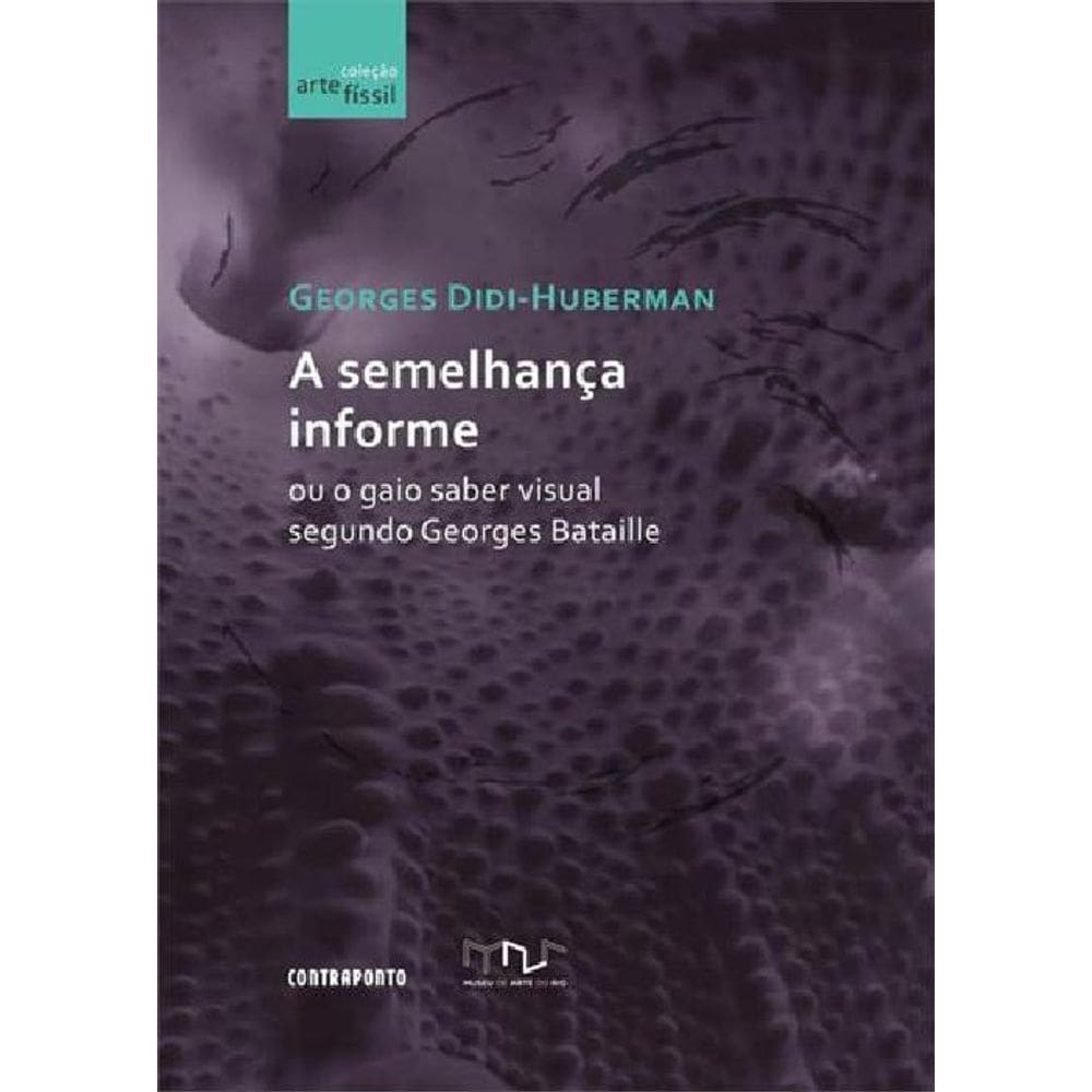 Livro A Semelhança Informe