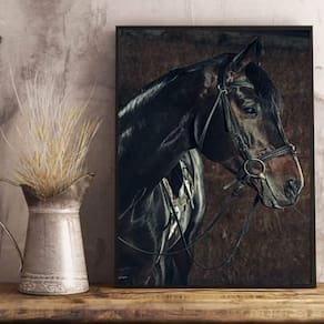 Quadro Decorativo Cavalo Perfil 45X34Cm Moldura Preta