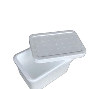 Kit C/10 Caixa Térmica Isopor Sorvete Doces 20,5X12,5Cm