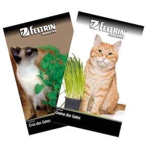 KIT Sementes de Grama e Erva dos Gatos Catnip FELTRIN