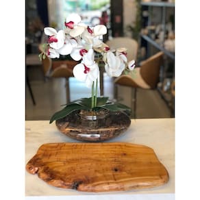 Wood Tabua Madeira Natural
