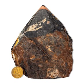 01 Ônix Preto Pé e Bico Serrado 500 a 1000g 10 a 12cm Tipo B