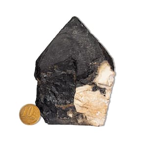 01 Ônix Preto Pé e Bico Serrado 400 a 500g 8 a 12cm Tipo B