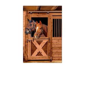 Painel Retangular 3D Sublimado Cavalo 1,5X2,2 Frt-5085