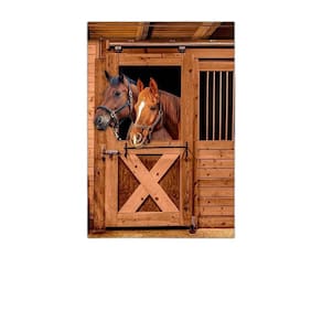 Painel Retangular 3D Sublimado Cavalo 1,5X2,2 Frt-5085