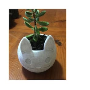 Vaso Para Suculenta Flores Formato Gato Lindo