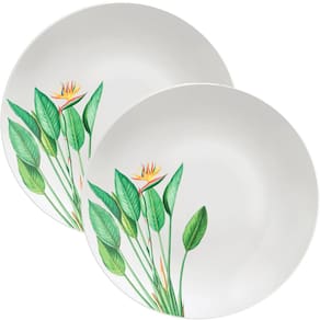 Kit Jogo De Prato Raso Jantar 12 Pessoas 12Pçs Graziela 25cm
