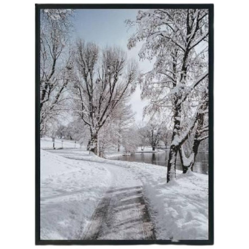 Quadro Decorativo Fotografia Paisagem Com Neve Vidro 24X18Cm