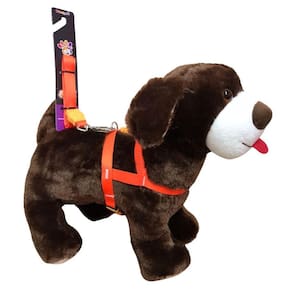 Coleira Peitoral Seda Neon p/ Cachorro - 15mm Laranja | Nicapet