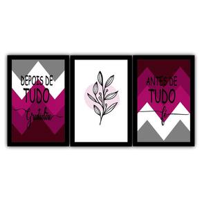 Quadro Decorativo Antes+Depois Vinho Com 3 30X40 Cm