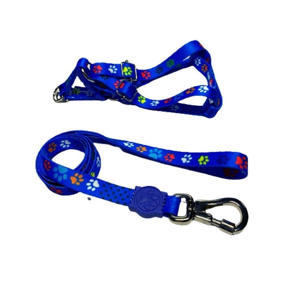Coleira Peitoral Cães Super Premium Seda 15 Mm - Azul Nº 4