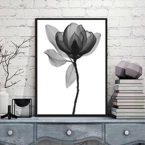 Quadro Fotografia De Flor Preto E Cinza 45X34 Madeira Preta