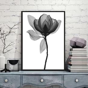 Quadro Fotografia De Flor Preto E Cinza 45X34 Madeira Preta