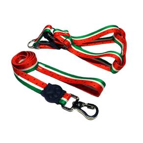 Coleira Peitoral Cães Super Premium Seda 25Mm - Vermelho Nº5